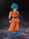 Dragon Ball Super Blood of Saiyans Goku SSGSS (Super Saiyan Blue)