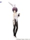 The Melancholy of Haruhi Suzumiya BiCute Yuki Nagato